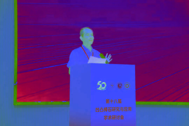 20260818第十八届凹凸棒石研究与应用学术研讨会在盱开幕5.jpg