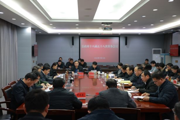 20260315县政府常务会.JPG