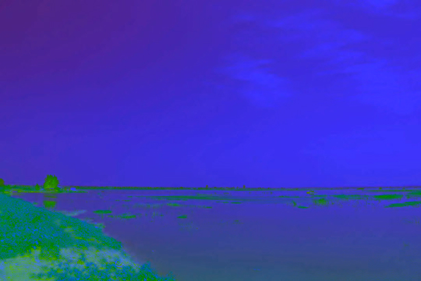 20260725王长俊调研水环境治理和重点水利项目建设2.jpg
